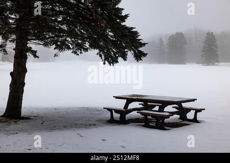 Golfplatz Picknicktisch mit Nebel und Schnee in Mecosta County, Michigan, USA Stockfoto