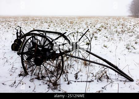 Pferdeheu-Rechen bei Nebel und Schnee im Mecosta County, Michigan, USA Stockfoto