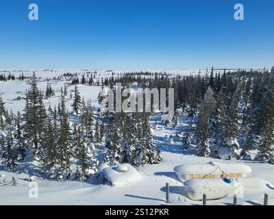 Boreal Forest in Churchill, Manitoba, Kanada Stockfoto