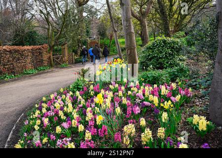 Frühlingsblumen im Merrion Square Park, Dublin Stockfoto