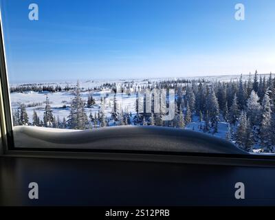 Boreal Forest vom Churchill Northern Studies Centre in Churchill, Manitoba, Kanada Stockfoto