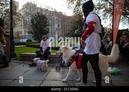 Madrid, Spanien. Dezember 2024 30. Menschen gehen mit ihren Hunden vor einem beliebten Heimtierrennen heute Morgen in Madrid. Das „Sanperrestre“-Rennen, eine jährliche festliche Version des traditionellen San Silvestre-Rennens zum Jahresende, widmet sich in diesem Jahr auch der Beschaffung von Geldern für die von den tödlichen Überschwemmungen in Valencia betroffenen Tierheime sowie der Sensibilisierung für die Vernachlässigung von Tieren und der Kampagne für die Adoption von Tieren statt ihres Kaufs. Quelle: SOPA Images Limited/Alamy Live News Stockfoto