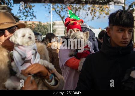 Madrid, Spanien. Dezember 2024 30. Die Menschen posieren mit ihren Hunden vor dem Start eines beliebten Heimtierrennens heute Morgen in Madrid. Das „Sanperrestre“-Rennen, eine jährliche festliche Version des traditionellen San Silvestre-Rennens zum Jahresende, widmet sich in diesem Jahr auch der Beschaffung von Geldern für die von den tödlichen Überschwemmungen in Valencia betroffenen Tierheime sowie der Sensibilisierung für die Vernachlässigung von Tieren und der Kampagne für die Adoption von Tieren statt ihres Kaufs. Quelle: SOPA Images Limited/Alamy Live News Stockfoto