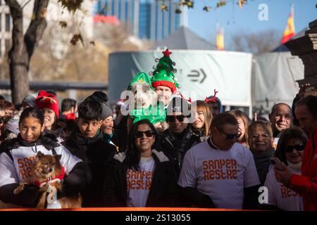 Madrid, Spanien. Dezember 2024 30. Mehrere Leute warten heute Morgen auf den Beginn eines beliebten Heimtierrennens in Madrid. Das „Sanperrestre“-Rennen, eine jährliche festliche Version des traditionellen San Silvestre-Rennens zum Jahresende, widmet sich in diesem Jahr auch der Beschaffung von Geldern für die von den tödlichen Überschwemmungen in Valencia betroffenen Tierheime sowie der Sensibilisierung für die Vernachlässigung von Tieren und der Kampagne für die Adoption von Tieren statt ihres Kaufs. Quelle: SOPA Images Limited/Alamy Live News Stockfoto