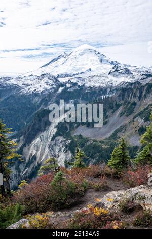 Blick über spektakuläre Grate vom Kulshan Ridge bis zum Mount Baker, der mit Neuschnee bedeckt ist. Im Vordergrund haben kleine Büsche rote und gelbe Blätter Stockfoto