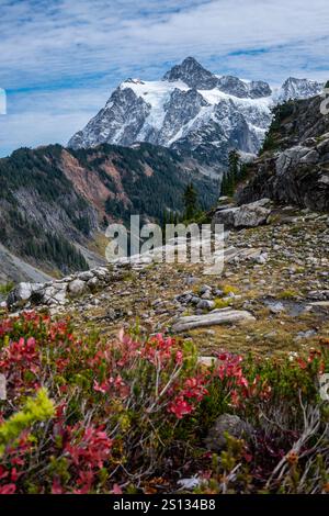 Der Mount Shuksan mit frischem Schnee steht über einem steilen, teilweise bewaldeten Bergrücken. Im Vordergrund trägt ein unscharfes rotes Laub zur Schönheit der Szene bei Stockfoto