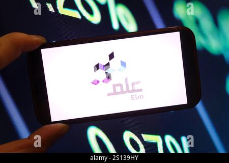 Polen. Dezember 2024. In dieser Abbildung wird das Logo der Firma Elm auf einem Smartphone-Bildschirm angezeigt. Quelle: SOPA Images Limited/Alamy Live News Stockfoto