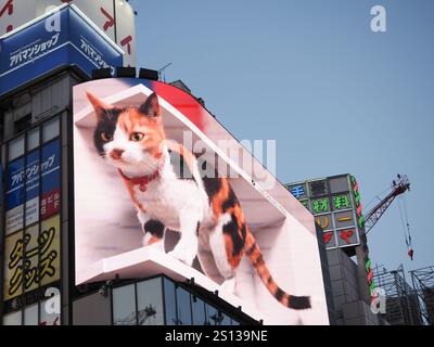 TOKIO, JAPAN - 19. Juli 2024: Eine 3D-Werbetafel mit einer Katze in einem Gebäude in Tokio Shinjuku. Stockfoto