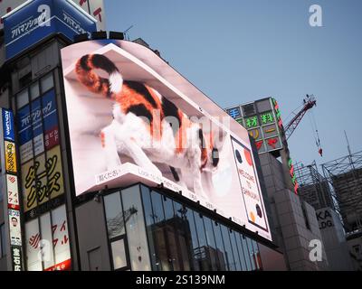 TOKIO, JAPAN - 19. Juli 2024: Eine 3D-Werbetafel mit einer Katze in einem Gebäude in Tokio Shinjuku. Stockfoto