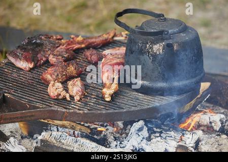 Lagerfeuer mit Essen bei einem Wikingerfest in Dänemark Stockfoto