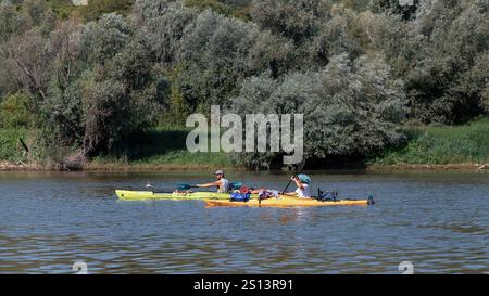 Serbien, 04. August 2023: Die Teilnehmer der TOUR INTERNATIONAL DANUBIEN (TID) Regatta (Quelle der Donau-Schwarzes Meer) passieren eine Etappe Veliko Selo Stockfoto