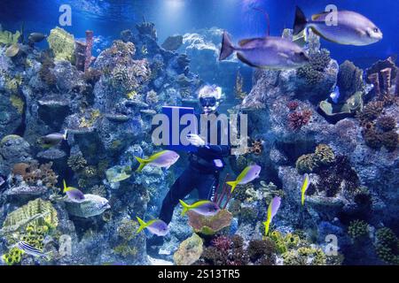 Bristol, Großbritannien. 30. Dezember 2024. Der Animal Count 2025 findet im Bristol Aquarium in Bristol, Großbritannien statt. Die jährliche Tierzählung findet in Zoos und Aquarien im ganzen Vereinigten Königreich statt, um die Tierbestände zu überwachen. Quelle: Mark Passmore/ Alamy Live News Stockfoto