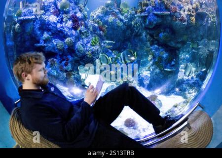 Bristol, Großbritannien. 30. Dezember 2024. Der Animal Count 2025 findet im Bristol Aquarium in Bristol, Großbritannien statt. Die jährliche Tierzählung findet in Zoos und Aquarien im ganzen Vereinigten Königreich statt, um die Tierbestände zu überwachen. Quelle: Mark Passmore/ Alamy Live News Stockfoto