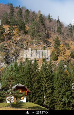 Kleine Holzhütte eingebettet in eine ruhige Waldlichtung, umgeben von üppigem Grün und hohen Bergen, schaffen einen ruhigen und idyllischen Rückzugsort Stockfoto