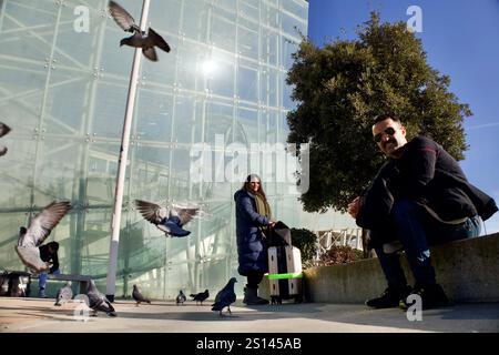 Venedig, Italien. Dezember 2024. Tauben fliegen an der Seite von Touristen. Stockfoto