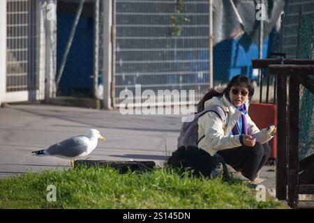 Venedig, Italien. Dezember 2024. Eine Touristenfrau im Hintergrund und eine Möwe im Vordergrund. Stockfoto