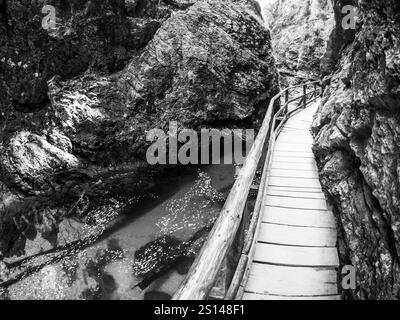 Holzweg in der Vintgar-Schlucht in der Nähe des Bleder Sees, Slowenien. Schwarzweißbild. Stockfoto