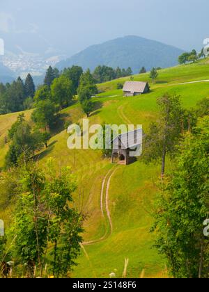 Luftaufnahme der traditionellen slowenischen Berglandschaft mit Heuschuppen in steilen Hügel, Julischen Alpen, Slowenien Stockfoto