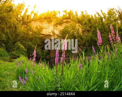 Große Naturbrücke am Sommertag, Rakov Skocjan, Slowenien Stockfoto