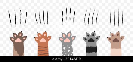Katzenkratzer. Satz von Klauen Kratzer, Haustiere oder wilde Tiernägel reißen isoliert auf transparentem Hintergrund. Löwen- oder Tiger-Kratzspuren. Karikaturkatze Stock Vektor