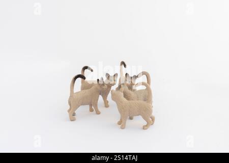 Siamkatzen Miniaturfiguren in einer Gruppe von fünf auf weißem Hintergrund Stockfoto