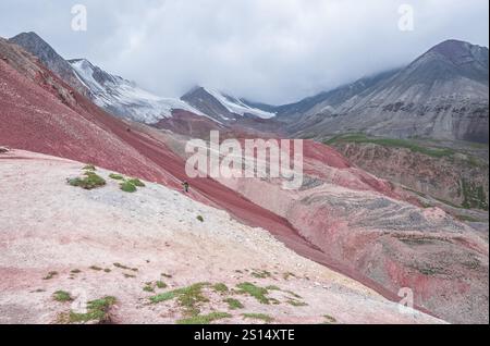 Traveller's Pass ist ein Trekkingziel in den Alays-Bergen im Süden Kirgisistans. Stockfoto