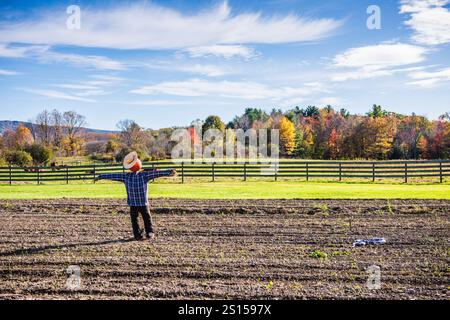 Pittsfield, MA USA - 19. Oktober 2017: Scarecrow in a Field against Herbstlaub Background in Western Massachusetts. Stockfoto