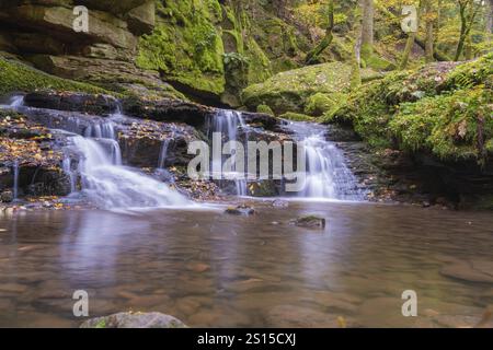 Kleiner Wasserfall in einem moosbedeckten Wald mit Herbstlaub, Monbachtal, Bad Liebenzell, Bezirk Calw, Schwarzwald, Deutschland, Europa Stockfoto