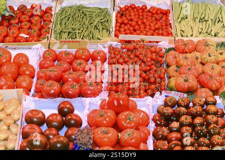 Markthalle, Mercat de la Boqueria, La Rambla, Barcelona, Katalonien, Spanien, Europa, verschiedene Tomaten/Paradeiser und grüne Paprika an einem Marktstand, E Stockfoto