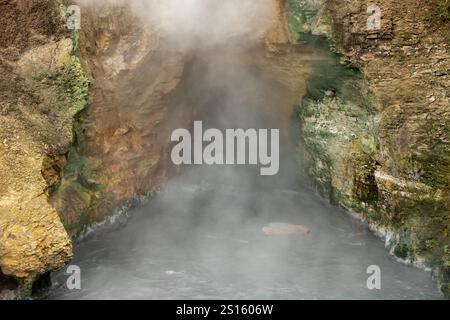 Dampf, der aus Dragons Mouth Thermal in Yellowstone aufsteigt Stockfoto