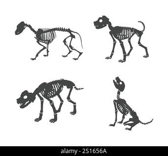 Hund Skelett Logo, Hund Skelett Silhouette, Hund Skelett Clipart, Hund Skelett Vektor Illustration. Stock Vektor