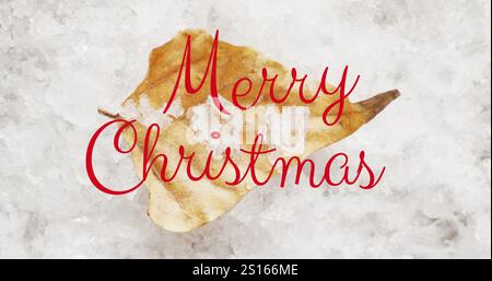 Bild des weihnachtsgrüßtextes über weihnachtsblatt und Schnee Stockfoto