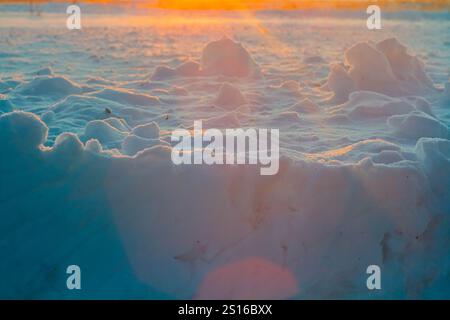 Fantastische Winterlandschaft. Gefrorenes Gras im Schnee. Winter Natur in den Strahlen des Sonnenuntergangs. Stockfoto