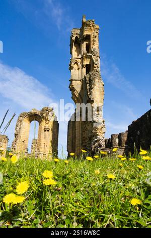 Ruinen von Byland Abbey, Coxwold, North Yorkshire, England Stockfoto