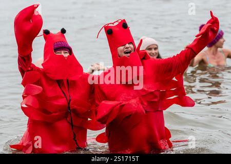 South Queensferry, Großbritannien. Januar 2025. Die Menschen nehmen am jährlichen „Loony Dook“ Teil, um den Neujahrstag 2025 zu feiern. Quelle: Euan Cherry/Alamy Live News Stockfoto