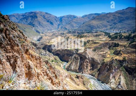 Colca Canyon, Arequipa Region, Peru Stockfoto