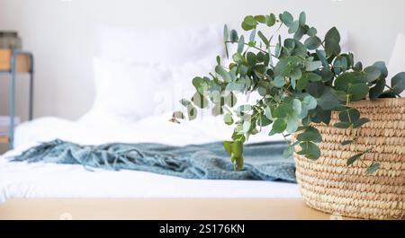 Korb mit grünen Eukalyptuszweigen auf der Bank im Schlafzimmer Stockfoto