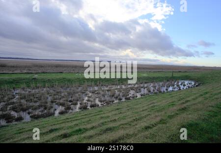 Ein Spaziergang entlang der Humber-Mündung in der Nähe von Brough Haven, East Yorkshire, UK Winter mit Wolken Stockfoto