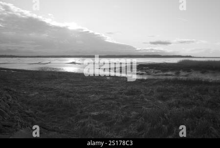 Schwarz-weiß-Blick entlang der Humber-Mündung in der Nähe von Brough Haven, East Yorkshire, UK Winter mit Wolken Stockfoto