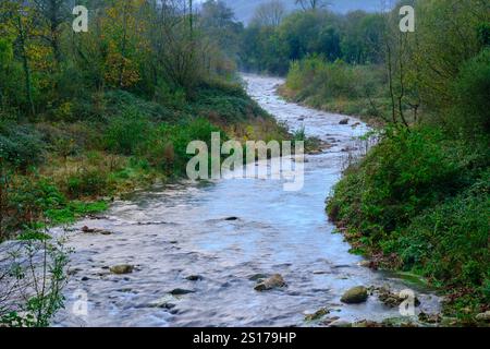 Ein ruhiger Blick auf den Fluss Saja, der sanft durch das grüne Cabuerniga-Tal in Kantabrien fließt. Stockfoto