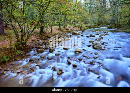 Eine ruhige Szene des Bayones River, der sanft über Felsen im üppigen Ucieda Wald fließt, im malerischen Cabuerniga Valley, Kantabrien. T Stockfoto