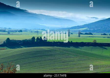 Ein Panoramablick auf nebelige Hügel und lebhafte grüne Felder im Allín-Tal, Navarra, Spanien. Das Bild fängt die heitere Schönheit des rollenden Landes ein Stockfoto