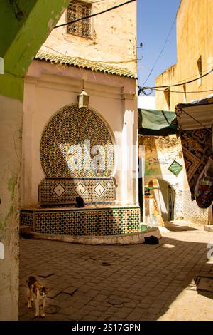 In Moulay Idriss, Marokko, am 06.08.2024, Brunnen und Katzen in einer Straße der alten Medina Stockfoto