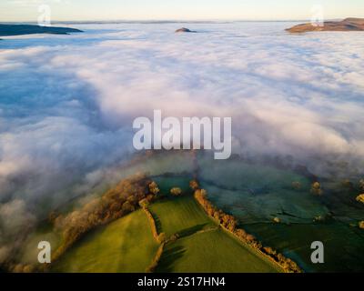 Luftaufnahme des tief liegenden Nebels, der Ackerland und Felder in der Dämmerung bedeckt Stockfoto