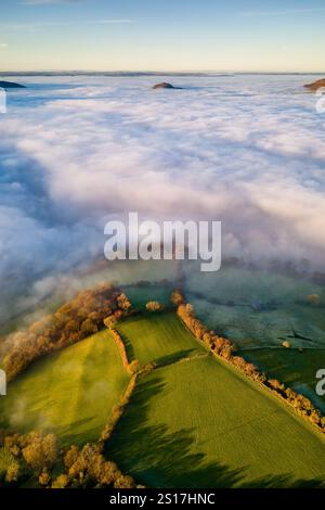 Luftaufnahme des tief liegenden Nebels, der Ackerland und Felder in der Dämmerung bedeckt Stockfoto