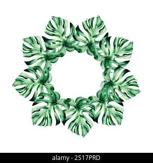 Aquarellillustration der Monstera. Botanischer Rahmen aus grünen Pflanzenblättern handgezeichnet. Tropische Pflanze grüne Farbe, auf isoliertem Hintergrund. Drawin Stockfoto