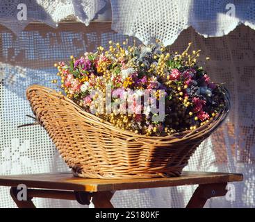 Korb mit trockenen Blumen auf dem Straßenmarkt in Prag Stockfoto