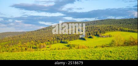 Sanfte Hügel, die von lebhaftem Grün bedeckt sind, erstrecken sich unter einem teilweise bewölkten Himmel über die Landschaft. Die Szene fängt die Schönheit der Natur an einem friedlichen Nachmittag ein. Stockfoto