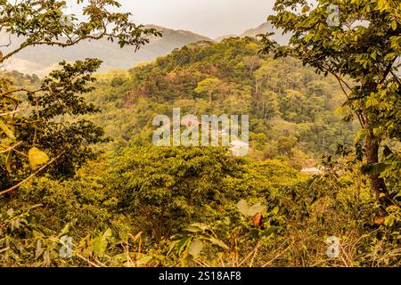 Üppige Landschaft in der Nähe von Minca, Kolumbien Stockfoto