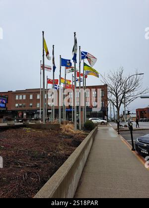 Provinzflaggen und Territorialflaggen im Zentrum von Charlottetown, Prince Edward Island, Kanada Stockfoto